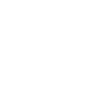 Big Sis Logo